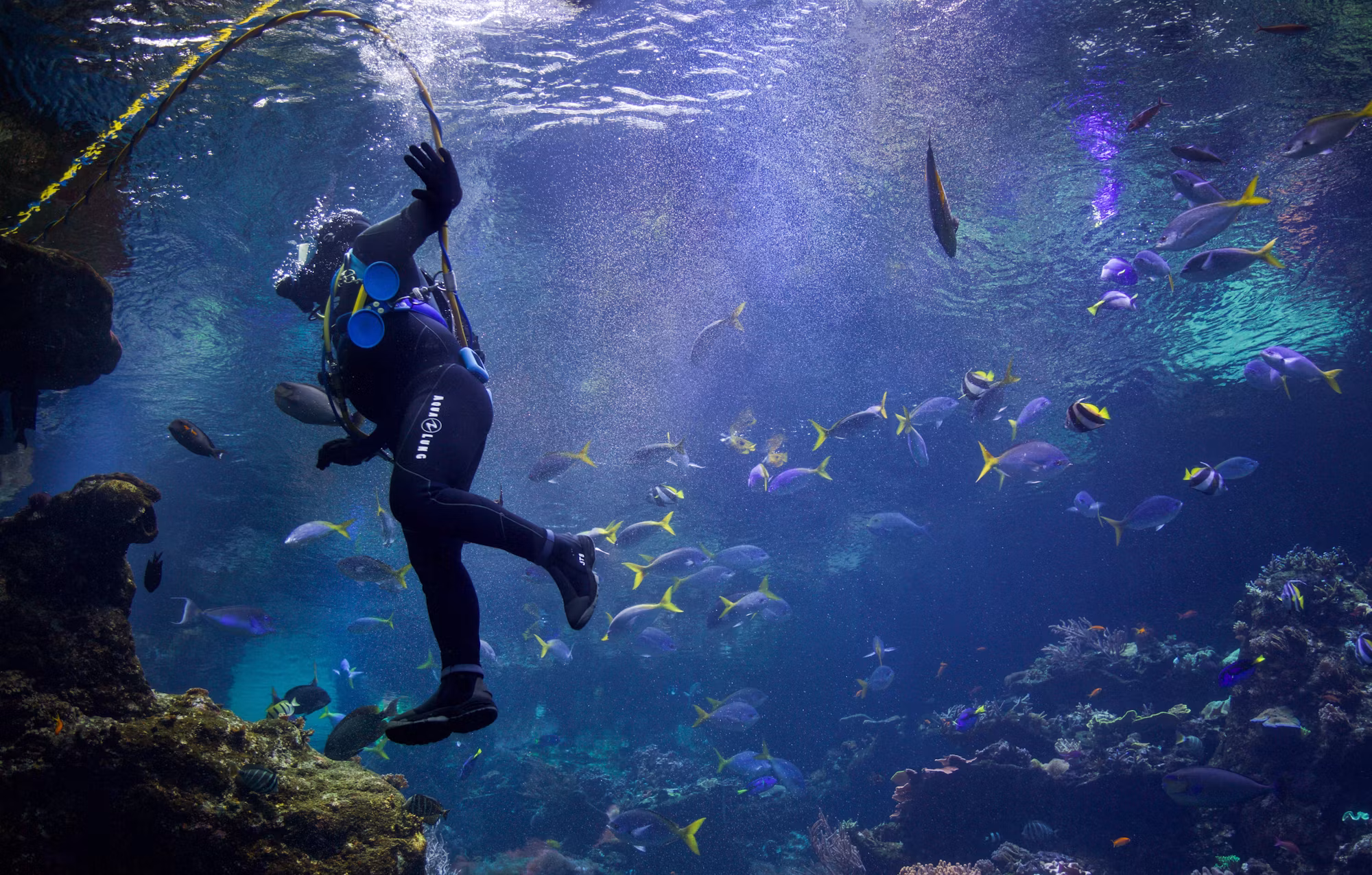 Dive Into Adventure: A Comprehensive Guide to Underwater Activities